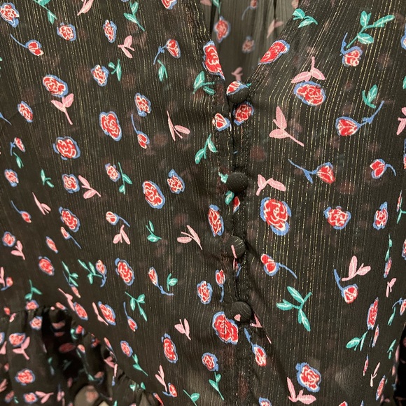 Sheer Shimmery Zara Top - Picture 8 of 8